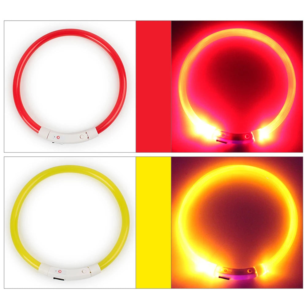 Illuminate Your Dog's Nighttime Adventures with Our Rechargeable LED Glow Dog Collars - Available in S, M, L Sizes!