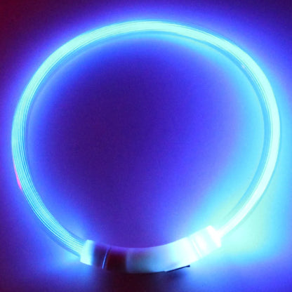 Illuminate Your Dog's Nighttime Adventures with Our Rechargeable LED Glow Dog Collars - Available in S, M, L Sizes!