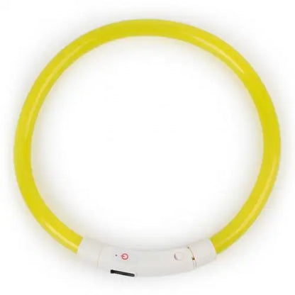 Illuminate Your Dog's Nighttime Adventures with Our Rechargeable LED Glow Dog Collars - Available in S, M, L Sizes!