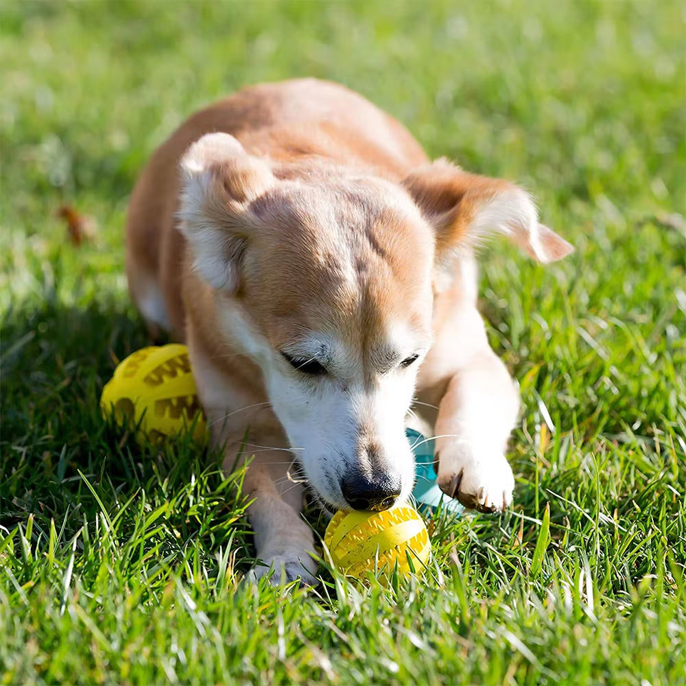 Ultimate Rubber Dog Ball - Fun Tooth Cleaning Toy for Puppies and Large Dogs, Snack-Dispensing and Durable!