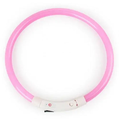 Illuminate Your Dog's Nighttime Adventures with Our Rechargeable LED Glow Dog Collars - Available in S, M, L Sizes!