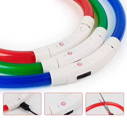 Illuminate Your Dog's Nighttime Adventures with Our Rechargeable LED Glow Dog Collars - Available in S, M, L Sizes!