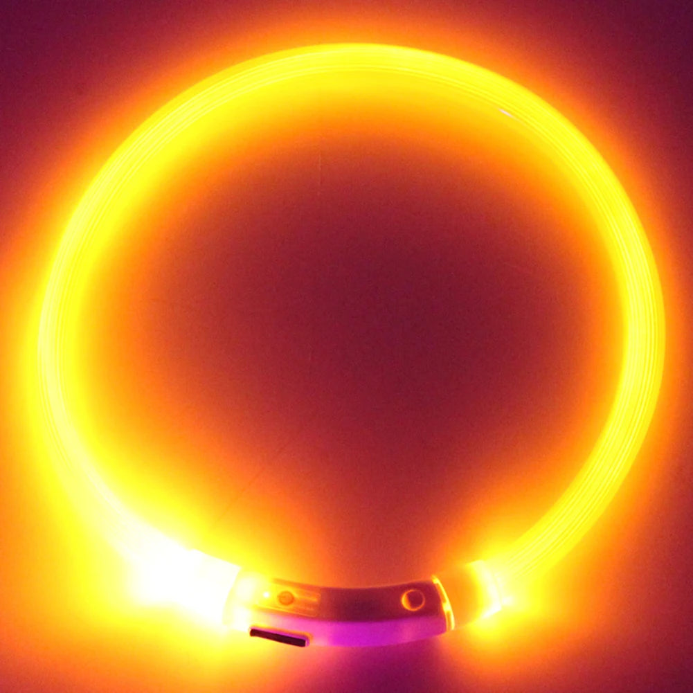 Illuminate Your Dog's Nighttime Adventures with Our Rechargeable LED Glow Dog Collars - Available in S, M, L Sizes!