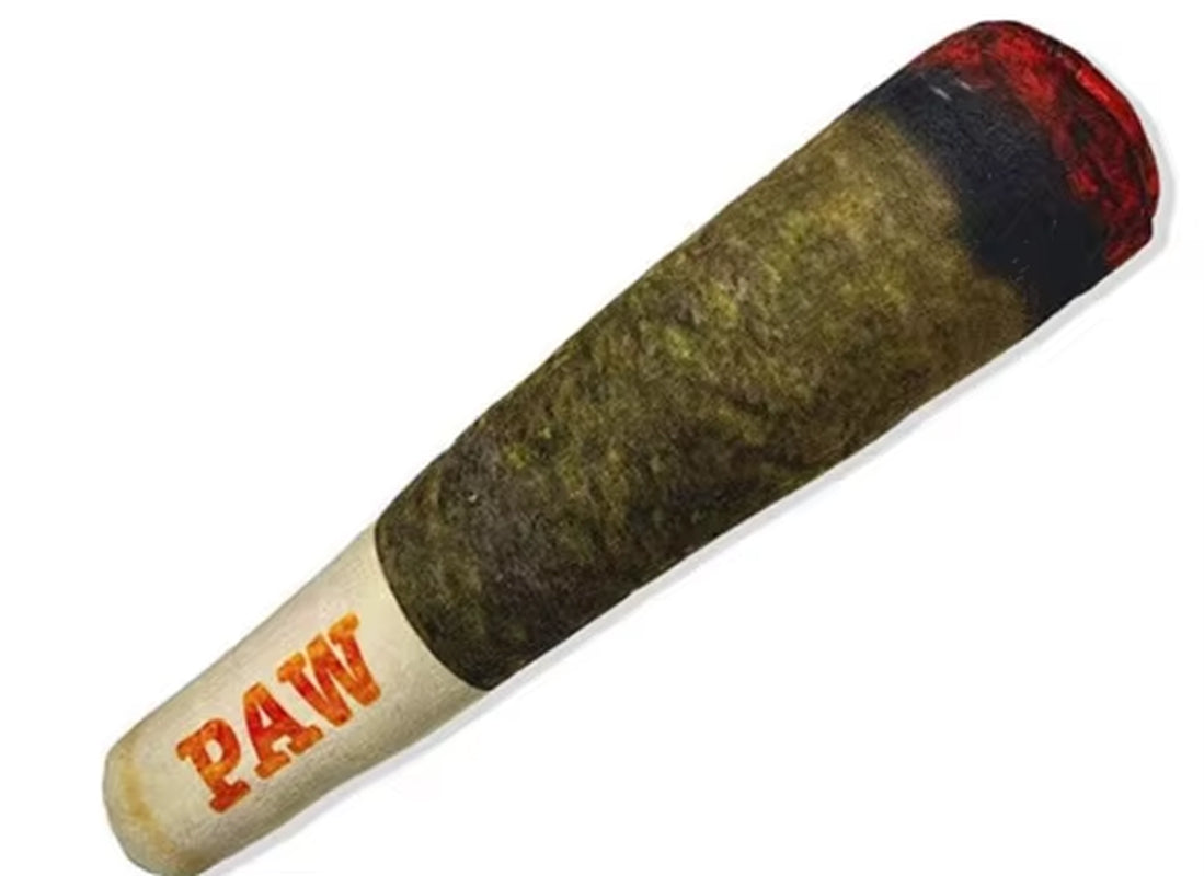 Funny Interactive Dog Toys - Cigar Design Plush Squeaky Pet Toys Grinding Teeth Creative Chew Toy for Small Medium Dog