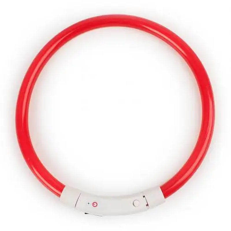 Illuminate Your Dog's Nighttime Adventures with Our Rechargeable LED Glow Dog Collars - Available in S, M, L Sizes!
