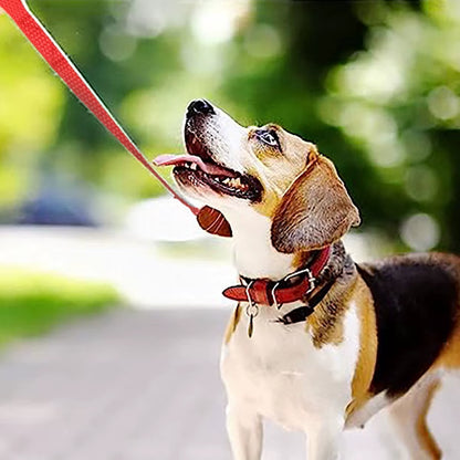 Durable Nylon Dog Training Leash - Perfect for Small & Large Dogs - Available in 1.5/3/5/6M Lengths for Safe and Comfortable Walks