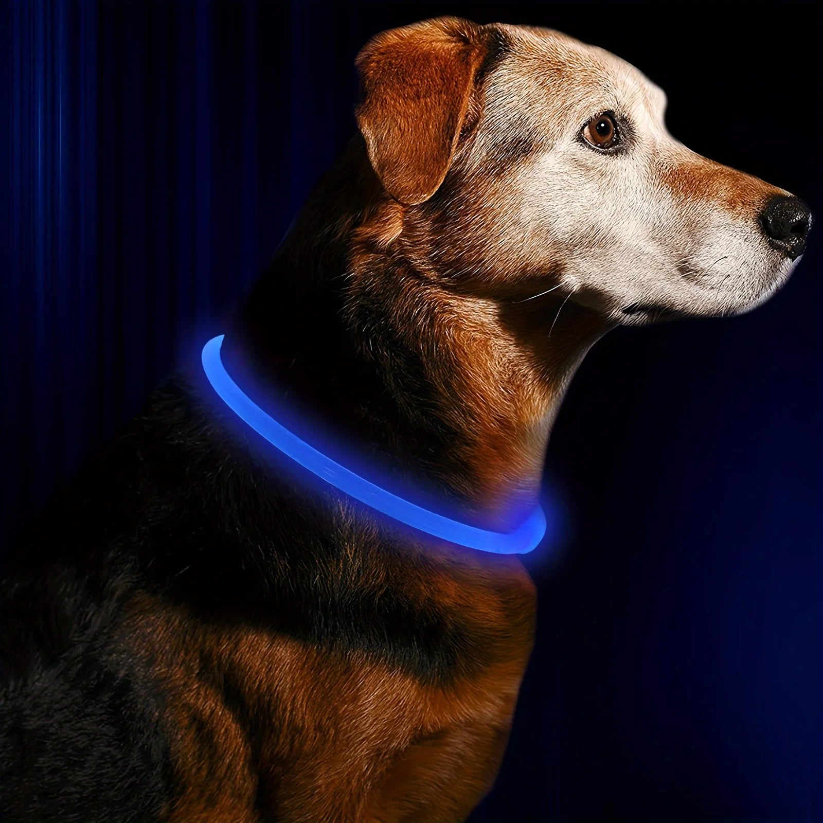 Illuminate Your Dog's Safety with Our USB Rechargeable LED Light Collar - Perfect for All Seasons!