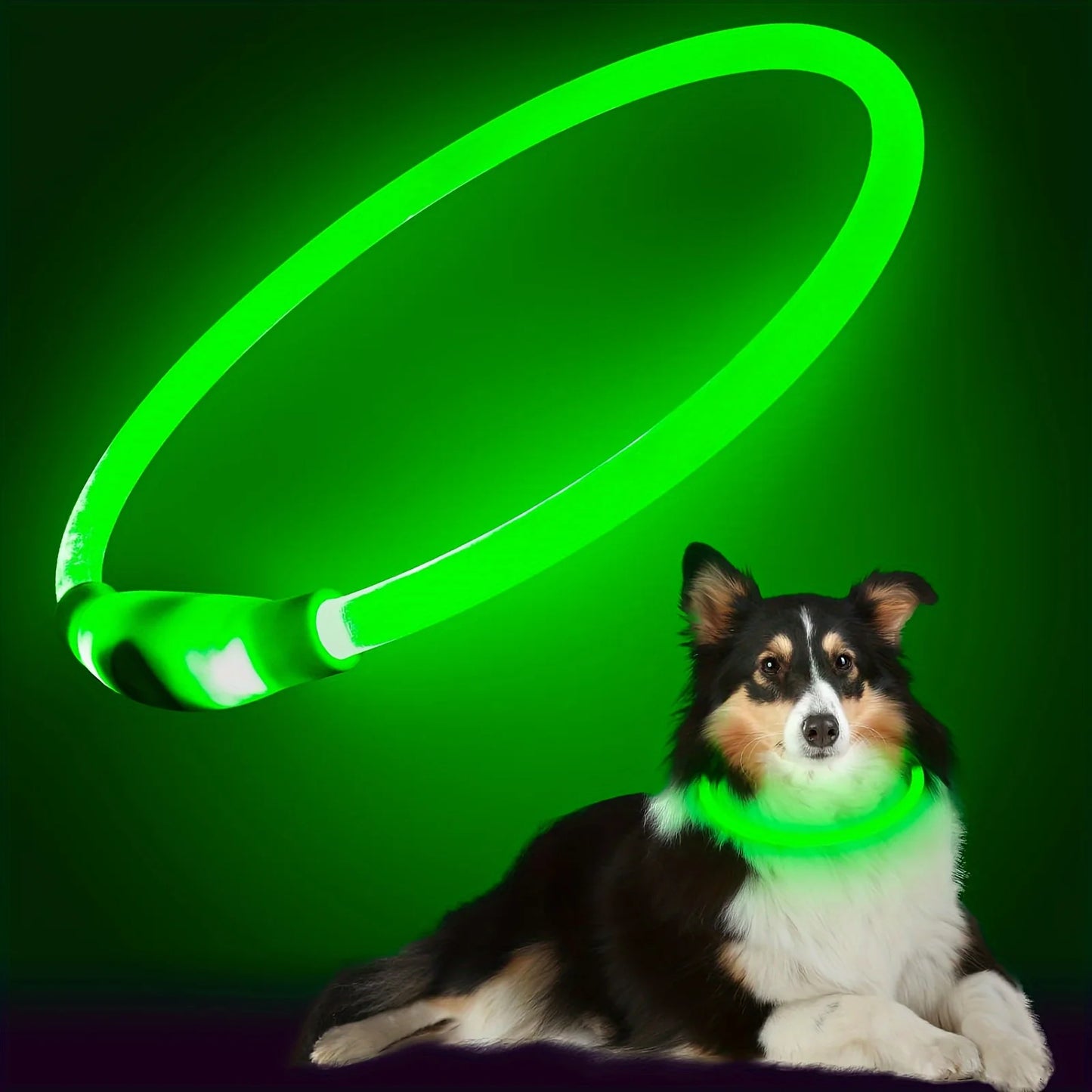 Illuminate Your Dog's Safety with Our USB Rechargeable LED Light Collar - Perfect for All Seasons!