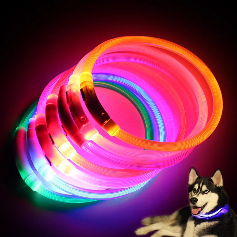 Illuminate Your Dog's Nighttime Adventures with Our Rechargeable LED Glow Dog Collars - Available in S, M, L Sizes!