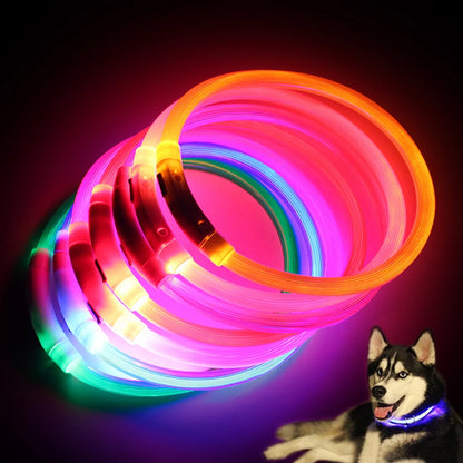 Illuminate Your Dog's Nighttime Adventures with Our Rechargeable LED Glow Dog Collars - Available in S, M, L Sizes!