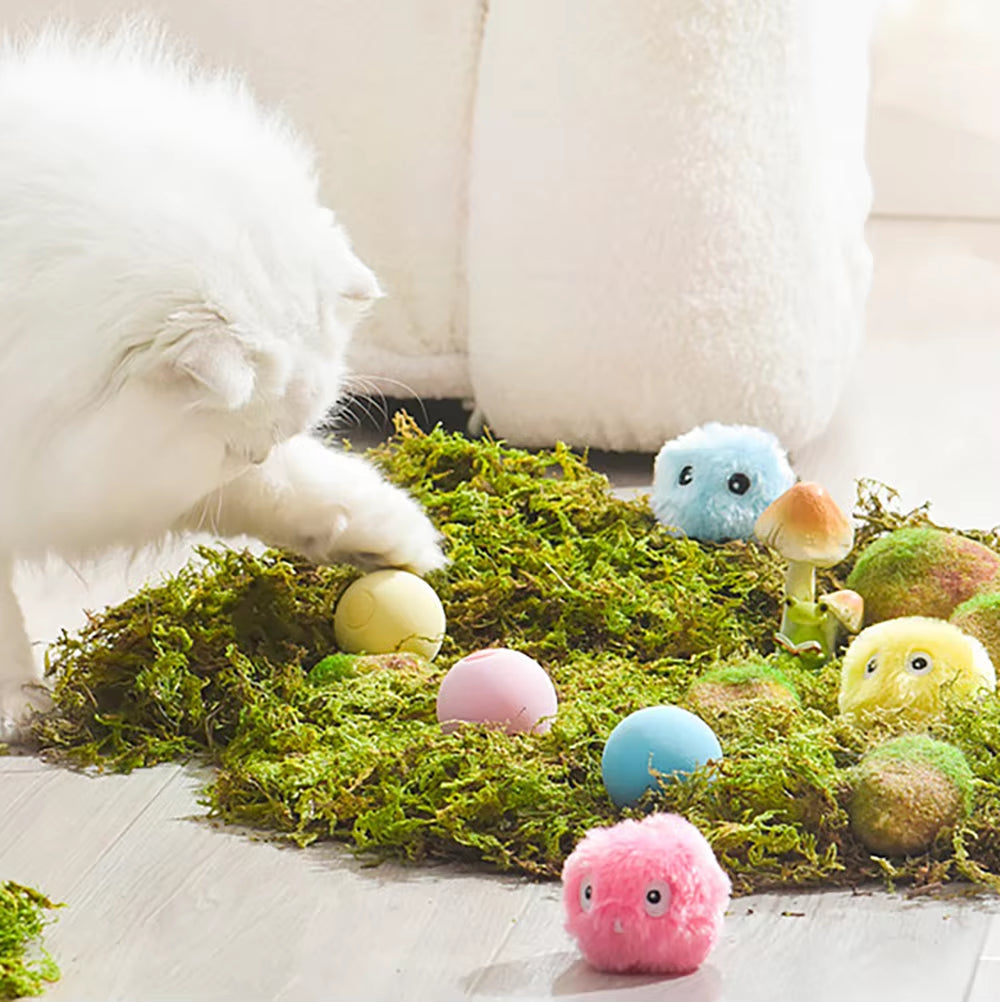 Interactive Plush Catnip Ball - The Ultimate Training Toy for Your Feline Friend!