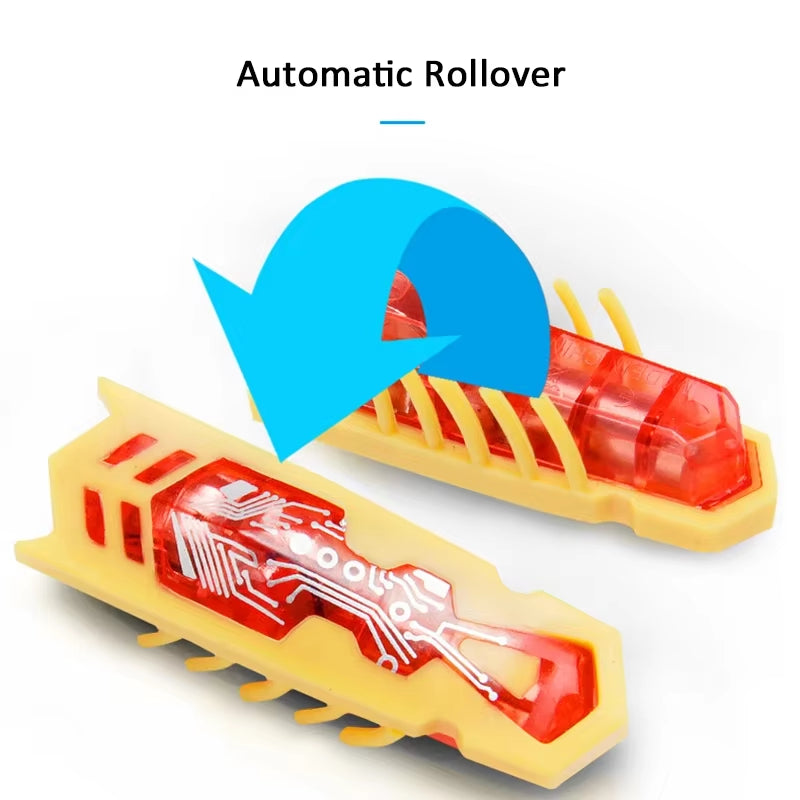 Exciting Mini Electric Ladybug Toy for Cats - Interactive Insect Playtime Fun!