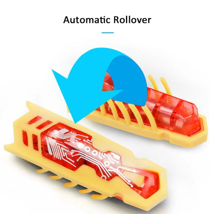 Exciting Mini Electric Ladybug Toy for Cats - Interactive Insect Playtime Fun!